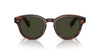 Oliver Peoples Cary Grant OV5413SU Light-Tortoise-Green-Polarised #colour_light-tortoise-green-polarised