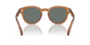 Oliver Peoples Cary Grant OV5413SU Carob/Regal Blue #colour_carob-regal-blue