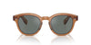Oliver Peoples Cary Grant OV5413SU Carob/Regal Blue #colour_carob-regal-blue