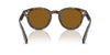 Oliver Peoples Cary Grant Sun OV5413SU DTB/True Brown #colour_dtb-true-brown