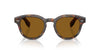 Oliver Peoples Cary Grant Sun OV5413SU DTB/True Brown #colour_dtb-true-brown