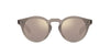 #colour_taupe-chrome-taupe-photochromic