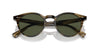 Oliver Peoples Romare Sun OV5459SU Olive Smoke/Grey #colour_olive-smoke-grey