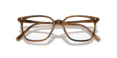 Oliver Peoples Rasey OV5488U Raintree #colour_raintree