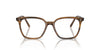 Oliver Peoples Rasey OV5488U Raintree #colour_raintree