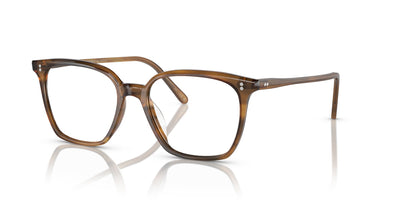 Oliver Peoples Rasey OV5488U Raintree #colour_raintree