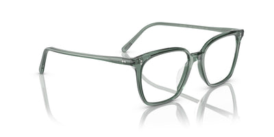 Oliver Peoples Rasey OV5488U Ivy #colour_ivy