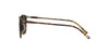 Oliver Peoples Finley 1993 Sun OV5491SU Atago Tortoise/G-15 Polar #colour_atago-tortoise-g-15-polar