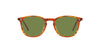 Oliver Peoples Finley 1993 Sun OV5491SU Sugi Tortoise/Crystal Green #colour_sugi-tortoise-crystal-green