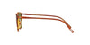 Oliver Peoples Finley 1993 Sun OV5491SU Sugi Tortoise/Crystal Green #colour_sugi-tortoise-crystal-green