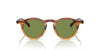 Oliver Peoples OP-13 Sun OV5504SU Dark Amber Gradient/Green C #colour_dark-amber-gradient-green-c