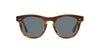 Oliver Peoples Rorke OV5509U Sycamore/Indingo Photochromic #colour_sycamore-indingo-photochromic