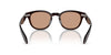 Oliver Peoples N.01 OV5528U Kuri Brown/Dusk Beach #colour_kuri-brown-dusk-beach