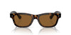 Oliver Peoples Rosson Sun OV5540SU 362/True Brown #colour_362-true-brown