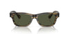 Oliver Peoples Rosson Sun OV5540SU Olive Smoke/G-15 #colour_olive-smoke-g-15