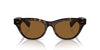 Oliver Peoples Avelin OV5541SU 362/True Brown #colour_362-true-brown