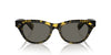 Oliver Peoples Avelin OV5541SU Vintage Dtbk/Carbon Grey #colour_vintage-dtbk-carbon-grey