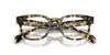 Oliver Peoples Afton OV5545U Tokyo Tortoise #colour_tokyo-tortoise