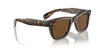 Oliver Peoples N.04 Sun OV5552SU Atago Tortoise/True Brown #colour_atago-tortoise-true-brown