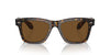 Oliver Peoples N.04 Sun OV5552SU Atago Tortoise/True Brown #colour_atago-tortoise-true-brown