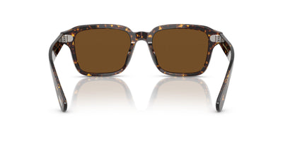 Oliver Peoples Errisson Sun OV5562SU Atago Tortoise/True Brown Polarised #colour_atago-tortoise-true-brown-polarised