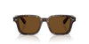Oliver Peoples Errisson Sun OV5562SU Atago Tortoise/True Brown Polarised #colour_atago-tortoise-true-brown-polarised