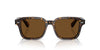 Oliver Peoples Errisson Sun OV5562SU Atago Tortoise/True Brown Polarised #colour_atago-tortoise-true-brown-polarised