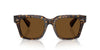 Oliver Peoples Ollice OV5564SU Atago Tortoise/True Brown Polarised #colour_atago-tortoise-true-brown-polarised