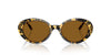 Oliver Peoples Lumar OV5565SU Tokyo Tortoise/True Brown #colour_tokyo-tortoise-true-brown