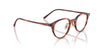 Oliver Peoples Sarelle OV5577 Semi-Matt Tuscany Tortoise #colour_semi-matt-tuscany-tortoise