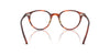 Oliver Peoples Sarelle OV5577 Semi-Matt Tuscany Tortoise #colour_semi-matt-tuscany-tortoise