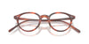 Oliver Peoples Sarelle OV5577 Semi-Matt Tuscany Tortoise #colour_semi-matt-tuscany-tortoise