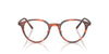 Oliver Peoples Sarelle OV5577 Semi-Matt Tuscany Tortoise #colour_semi-matt-tuscany-tortoise
