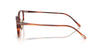 Oliver Peoples Sobel OV5578 Koa Tortoise #colour_koa-tortoise