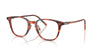 Oliver Peoples Sobel OV5578 Koa Tortoise #colour_koa-tortoise