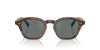 Oliver Peoples Eyles OV5580SU Sycamore/Regal Blue #colour_sycamore-regal-blue