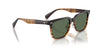 Oliver Peoples Mr. Federer Ii OV5592S Cortado/G-15 Polarised #colour_cortado-g-15-polarised