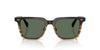 Oliver Peoples Mr. Federer Ii OV5592S Cortado/G-15 Polarised #colour_cortado-g-15-polarised