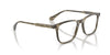 Oliver Peoples Tillen OV5603U Soft Olive Bark #colour_soft-olive-bark