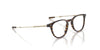 Oliver Peoples Kelmore OV5608U Atago Tortoise/Brushed Gold #colour_atago-tortoise-brushed-gold