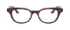 #colour_Morado-Tortoise