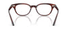 #colour_Morado-Tortoise