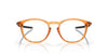 Oakley Pitchman R OX8105 Polished Translucent Ginger #colour_polished-translucent-ginger