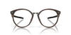 Oakley Cognitive R OX8181 Polished Brown Tortoise #colour_polished-brown-tortoise