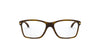 #colour_polished-brown-tortoise