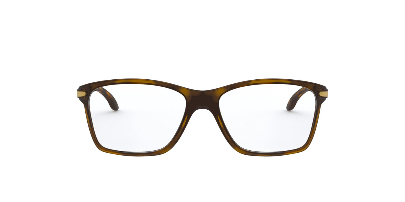 #colour_polished-brown-tortoise