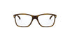 #colour_polished-brown-tortoise