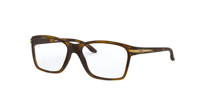 #colour_polished-brown-tortoise