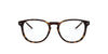 Polo Ralph Lauren PH2225 Shiny Dark Havana #colour_shiny-dark-havana