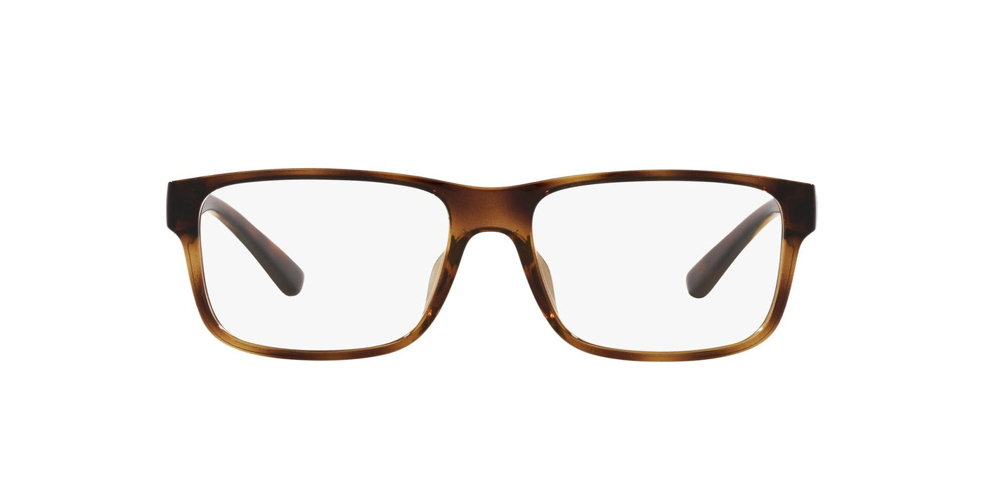 Polo Ralph Lauren PH2237U Shiny Havana #colour_shiny-havana